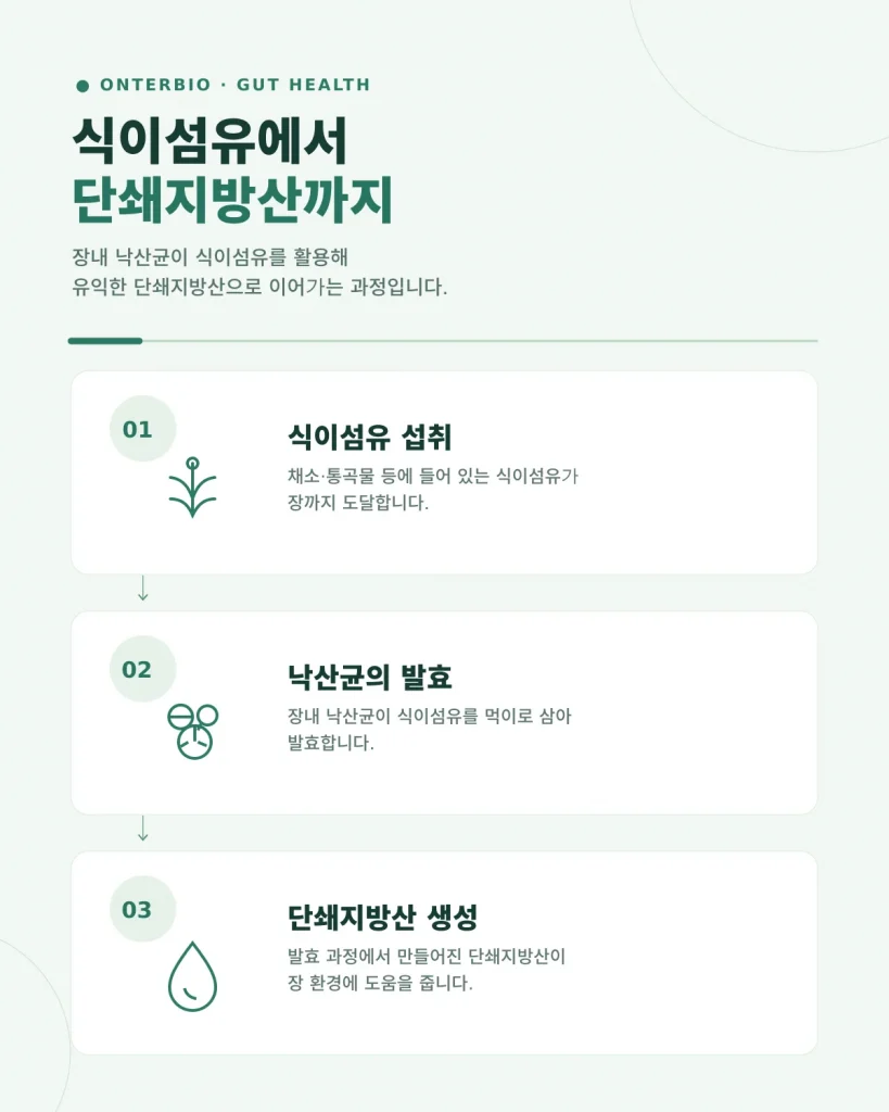 낙산균 영양제 관련 정보를 보여주는 이미지