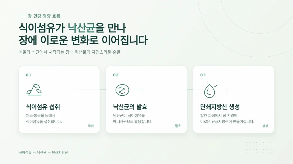 낙산균 유산균 차이 관련 정보를 보여주는 이미지